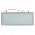 Светильник светодиодный аварийный ЭРА SSA-101-0-20 1,5ч 3W БЕЗ ТЕКСТА 069116 изображение 2