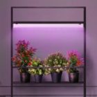 Светильник светодиодный для зелени и досветки комнатных цветов ЭРА FITO-14W-Т5-N красно-син. спектра изображение 13
