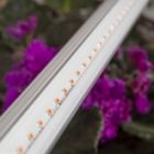 Светильник светодиодный для зелени и досветки комнатных цветов ЭРА FITO-14W-Т5-N красно-син. спектра изображение 16