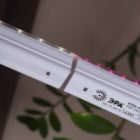 Светильник светодиодный для зелени и досветки комнатных цветов ЭРА FITO-14W-Т5-N красно-син. спектра изображение 14