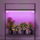 Светильник светодиодный для зелени и досветки комнатных цветов ЭРА FITO-36W-RB-N красно-син. спектра изображение 5