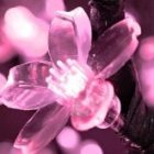 Гирлянда светодиодная Цветы Сакуры 50 LED Розовые 7 метров с контроллером 230V IP20 изображение 2