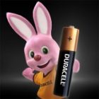 Батарейка Duracell AAA LR03 Basic MN2400 1,5V алкалиновая (упаковка 2шт) 116054 изображение 6