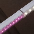 Светильник светодиодный для зелени и досветки комнатных цветов ЭРА FITO-16W-Т5-N красно-син. спектра изображение 11