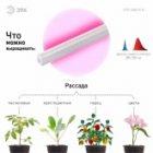 Светильник светодиодный для зелени и досветки комнатных цветов ЭРА FITO-16W-Т5-N красно-син. спектра изображение 10