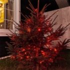 Гирлянда Твинкл Лайт Neon-Night 10 м, черный ПВХ, 100 LED, 230V IP65 цвет красный изображение 10