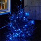 Гирлянда Твинкл Лайт Neon-Night 10 м, черный ПВХ, 100 LED, 230V IP65 цвет синий изображение 5