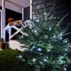 Гирлянда Твинкл Лайт Neon-Night 10 м, черный ПВХ, 100 LED, 230V IP65 цвет белый изображение 7
