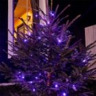 Гирлянда Твинкл Лайт Neon-Night 10 м, черный ПВХ, 100 LED, 230V IP65 цвет фиолетовый изображение 2