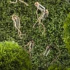 Садовая гирлянда ЭРА ERAGS08-05 10 подсвечиваемых светодиодами бутылочек изображение 11