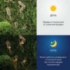 Садовая гирлянда ЭРА ERAGS08-05 10 подсвечиваемых светодиодами бутылочек изображение 7