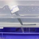 Клей-герметик Weicon Aqua-Flex MS-Полимер 310мл белый изображение 2