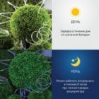 Садовая гирлянда ЭРА дюралайт на солнечной батарее, мультиколор, 5 м ERANN24-12 изображение 4