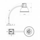 Светильник настольный Алькор НКП 03-60-026-03, под лампу ЛОН max 60W, 24-36V, Е27, на флексе, белый изображение 2