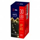 Светодиодная гирлянда ЭРА ERAPS-NK3 нить 3м теплый свет 100LED черный каучук 220В IP65 изображение 2