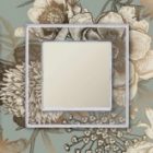 Одноклавишный выключатель с установкой персонального изображения SE AtlasDesign 10A Art изображение 2