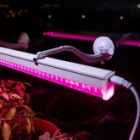 Кронштейн для фитоламп и фитосветильников ЭРА FITO-Hanger на присоске изображение 6
