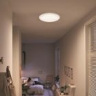 Светильник светодиодный Philips CL200 EC RD 17W 4000K 230V 1900lm IP20 320x68mm изображение 4
