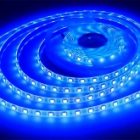 Светодиодная лента Foton FL-Strip 2835-S120-B 24W/m BLUE 24V IP20 синий 10x5m изображение 3