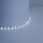 Светодиодная лента Feron LS604 60SMD(3528) 4.8W/м 12V IP65 5000х8х3.8mm белый изображение 4