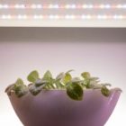 Светодиодная лента для растений ЭРА FITO-Strip Light-Ra90-3m 27W 12V IP65 полного спектра + адаптер изображение 9