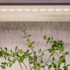 Светодиодная лента для растений FITO-Strip Light-Ra90-300LED-5m-12V-IP65 45W полного спектра адаптер изображение 9