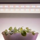 Светодиодная лента для растений FITO-Strip Light-Ra90-300LED-5m-12V-IP65 45W полного спектра адаптер изображение 10