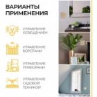 Выключатель дистанционного управления 2-клавишный Feron TM82 (не требует питания) золото изображение 8