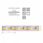 Светодиодная лента Feron LS612 120SMD(3528) 9.6W/m 12V IP20 5000х10х3.8mm холодный белый изображение 2