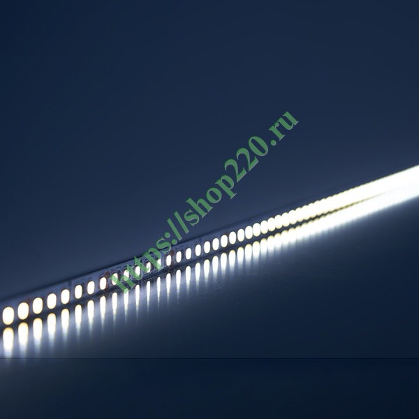 Светодиодная LED лента Feron LS501, 120SMD(2835)/м 11Вт/м 24V 5000*8*1.22мм 6000К