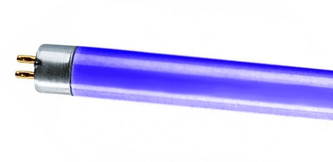 Цветные люминесцентные лампы Т4 d12mm с цоколем G5